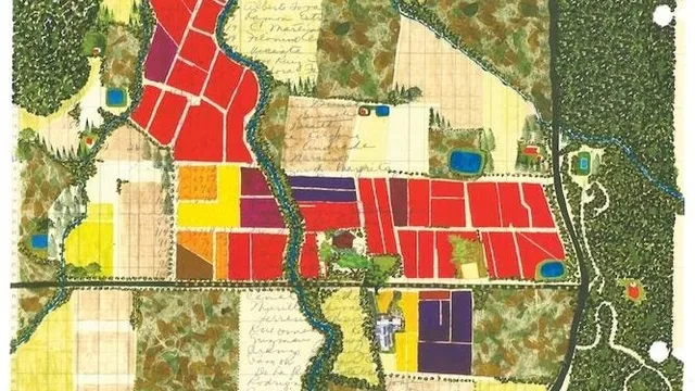 Sauvignon Blanc evolves with diverse styles in the U.S. and Europe