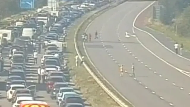 Kids spotted playing on M6 motorway during traffic delay