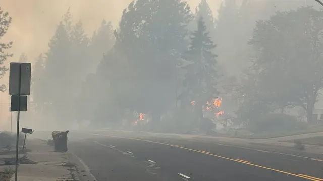 Georgia firefighters head west to combat raging wildfires