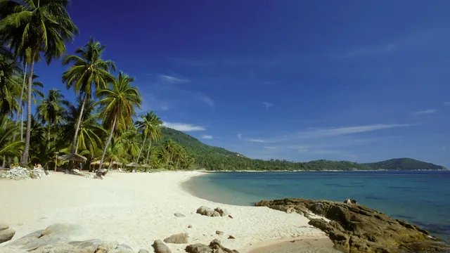 Visit Koh Samui Now Before The White Lotus Effect Hits