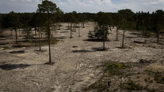 Britain risks crop shortages amid ongoing drought