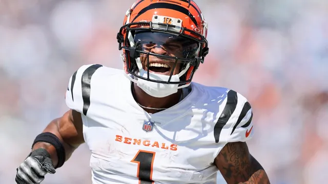 Ja'Marr Chase clashes with Bengals defense during training camp scuffle