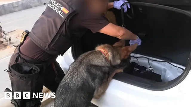 Spanish police arrest 78 in major smuggling network bust