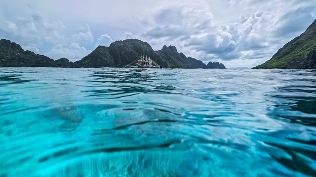 British journalist nearly dies after handling deadly blue-ringed octopus