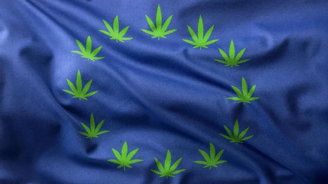 Germany set to lead Europe's cannabis market with billion-dollar sales