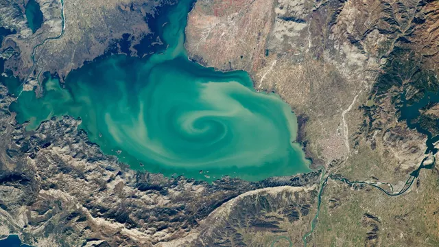 Lake Skadar hosts over 280 bird species in Southern Europe