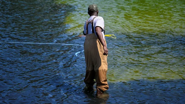Trump blames leftist vandals for reflecting pool's algae crisis