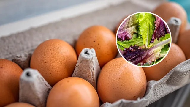 Thousands infected as cyclospora outbreak spreads across the US