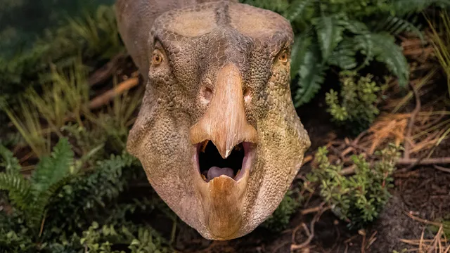 Paleontologist uncovers intact fossil bed in New Jersey