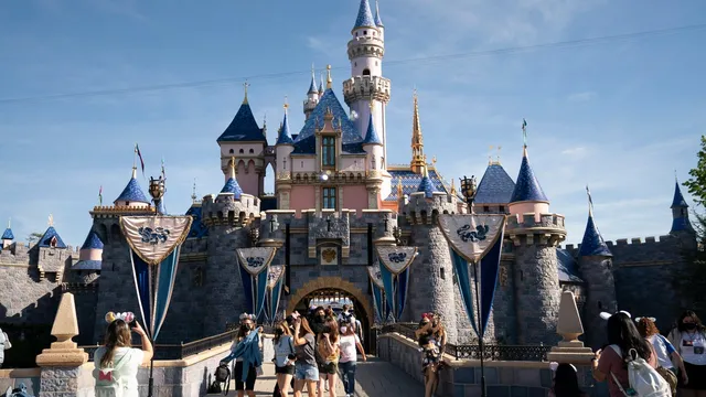 Canadian man arrested for public nudity at Disneyland