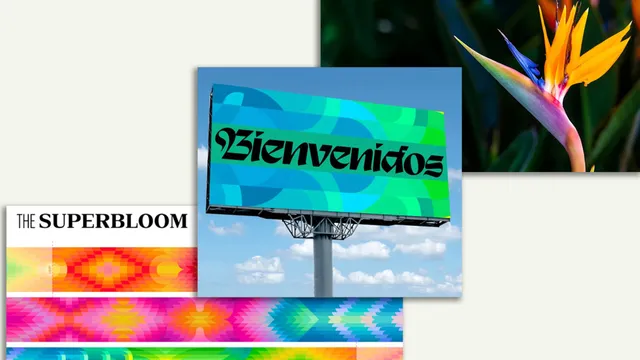 LA28 showcases vibrant floral branding for the 2028 Olympics