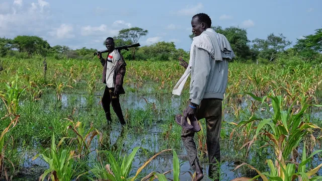 Government-aligned fighters kill civilians in South Sudan ambush