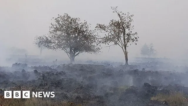 Belgium's largest nature reserve burns as firefighters battle worst wildfire in recent history
