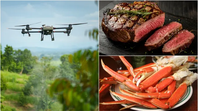 Drone drops contraband food at South Carolina prison before being intercepted
