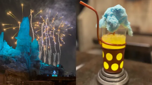Disneyland's holiday meal disappoints despite spectacular fireworks