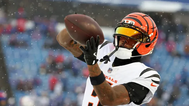 Tee Higgins faces concussion protocol after reporting symptoms
