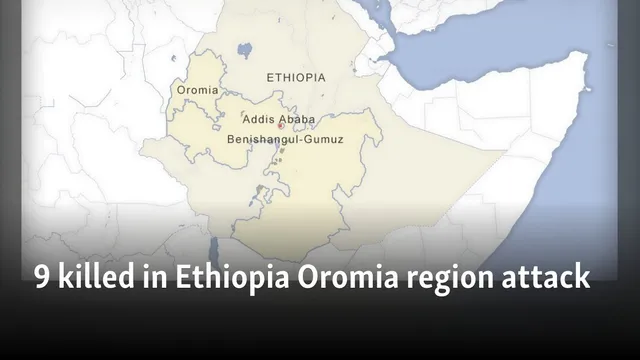 Nine killed in violent attack in Ethiopia's Oromia region