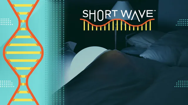 Short naps boost problem-solving abilities, say researchers