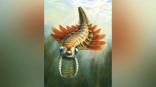 Paleontologists unveil 506-million-year-old sea predator in Canada