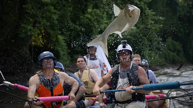 Wildlife officials remove over 100,000 pounds of invasive carp from Kansas River