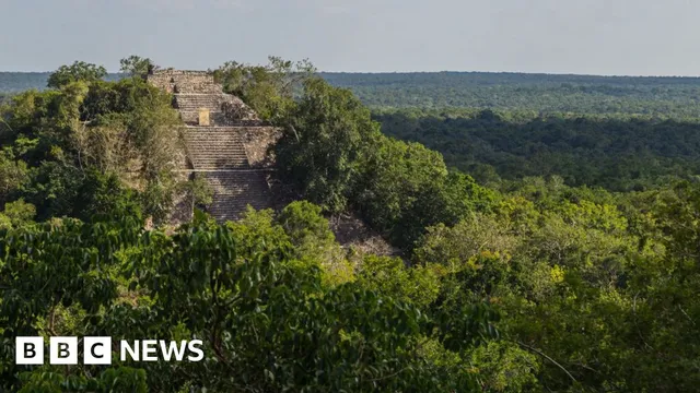 Discovery of massive Mayan city in Mexico jungle