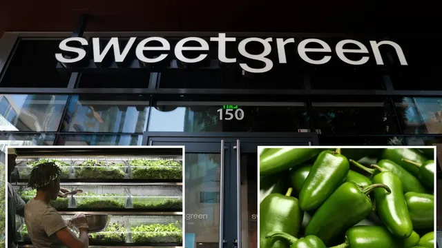 Sweetgreen's stock plummets as diners fear cyclospora and salmonella outbreaks