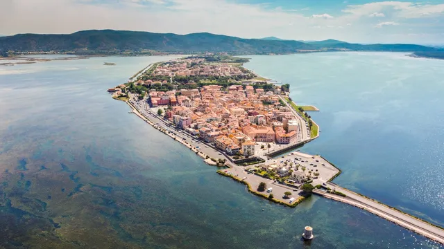 Residents demand emergency declaration as midges invade Tuscan beach town
