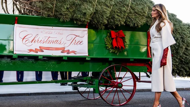Melania Trump welcomes majestic Christmas tree at the White House