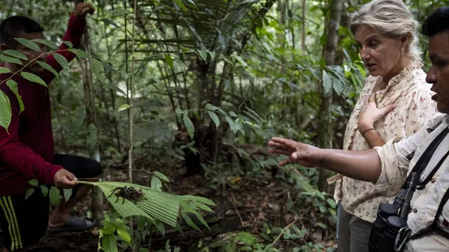 Duchess of Edinburgh faces the king of spiders on Amazon trek