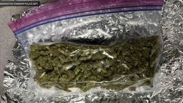 Police uncover marijuana disguised as food in New Jersey delivery