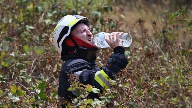 Wildfire in France devastates land four times the size of Paris