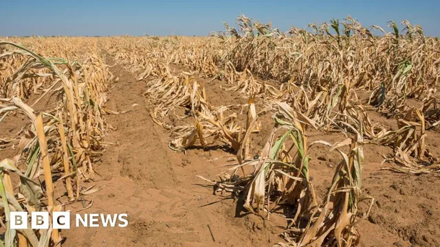 MP Chris Hinchliff calls for urgent action on climate threats from El Niño