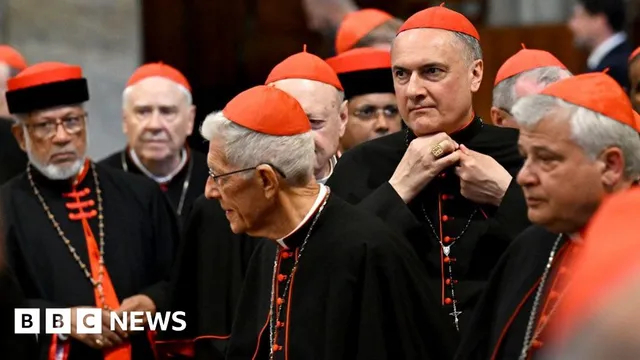 Conclave to replace Pope Francis begins on May 7