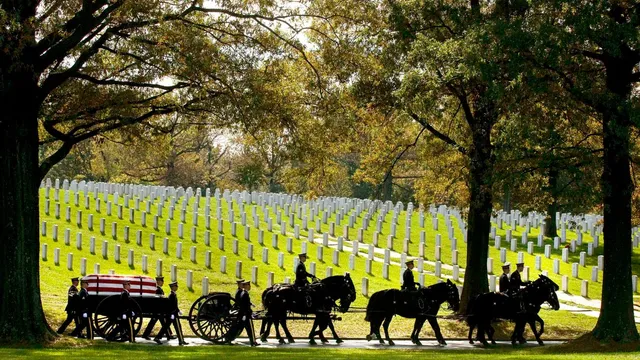 Army reintroduces horse-drawn caissons for funerals at Arlington