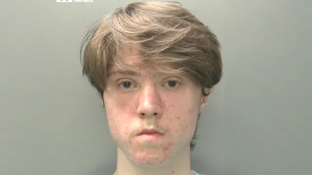 Teenager sentenced for planning attack inspired by Southport killer