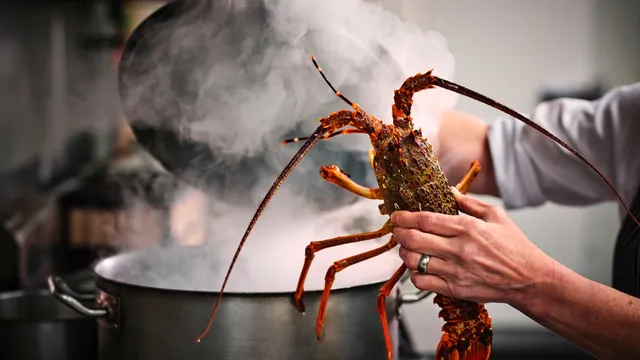 Māori food connects culture and nature in New Zealand