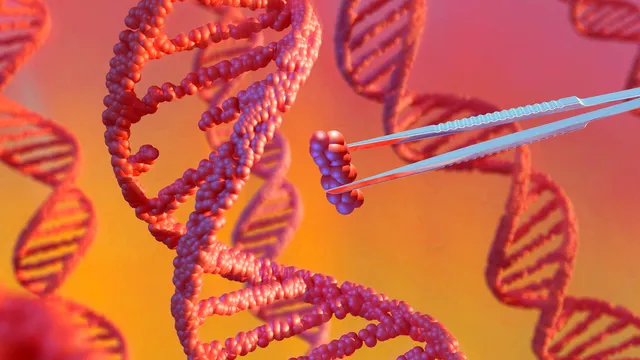 6-year-old girl dies after experimental gene therapy in China