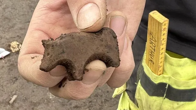 Mystery Stone Animal Figurine in Iceland
