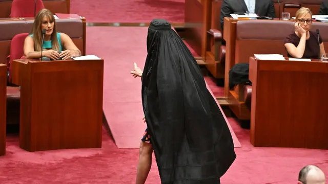 Pauline Hanson sparks outrage by wearing burqa in Australian Senate