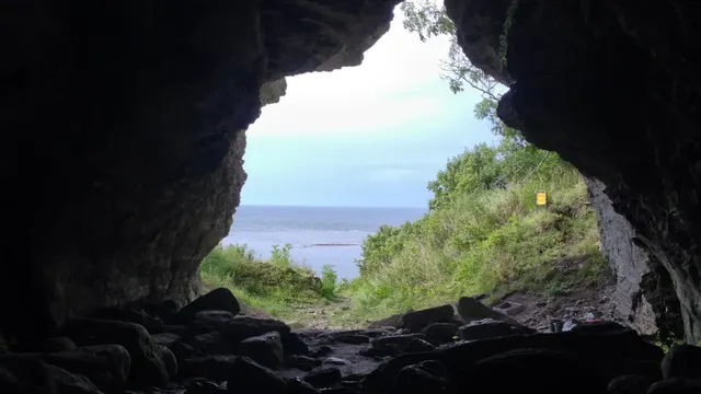 Prehistoric wolves reveal early human interaction in Sweden