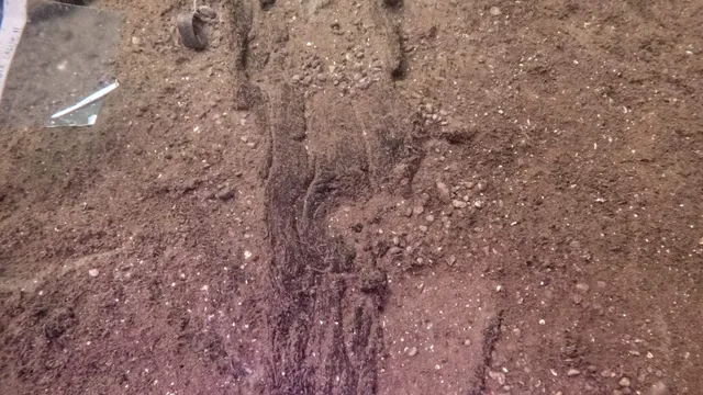 Archaeologists uncover ancient canoes from prehistoric lake site