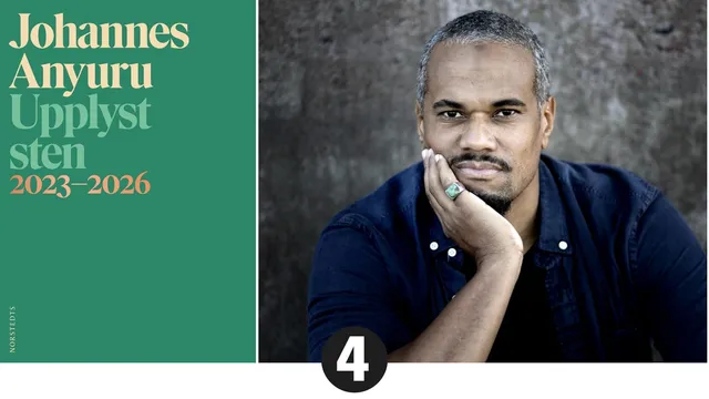 Swedish author Johannes Anyuru's book 'Upplyst sten' collects his Gaza articles and poems