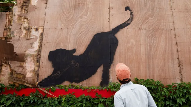 Banksy Art Removed Shortly After Reveal