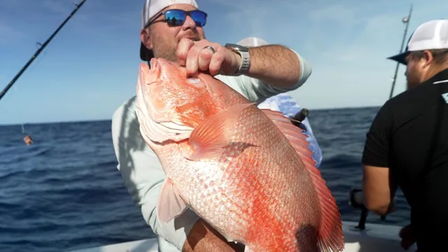 Federal judge halts expansion of red snapper fishing season