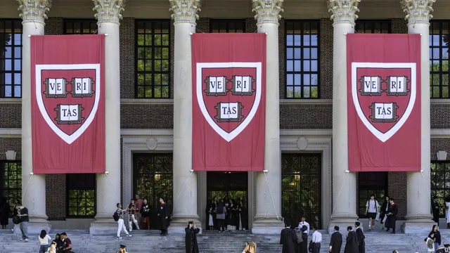 College degrees remain valuable despite AI advancements