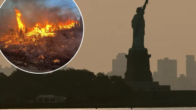 Canada's forest management fails to prevent wildfires choking American cities
