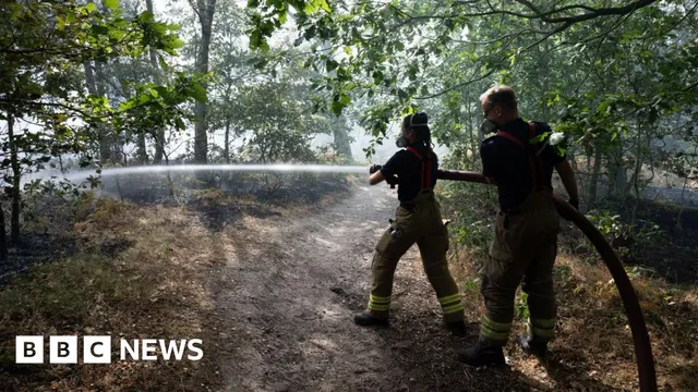Fire crews battle major woodland blaze in Nottinghamshire