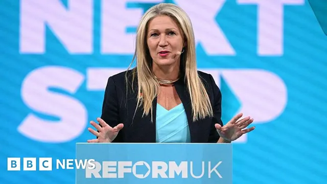 Abel Braga apologizes for homophobic slur in press conference