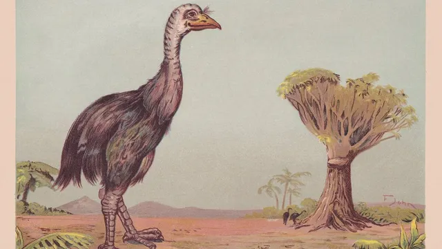 Colossal Biosciences attempts to bring moa back from extinction amid controversies
