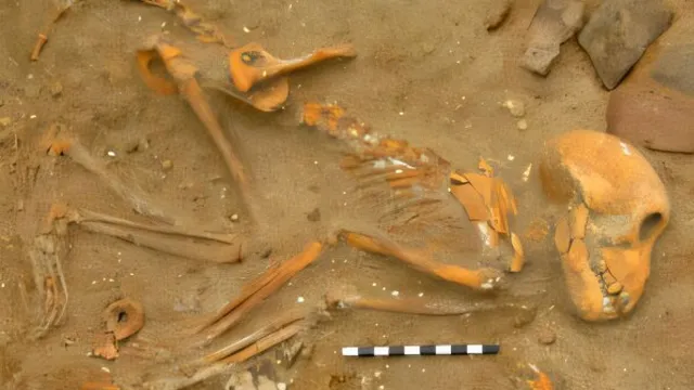 Roman officers kept monkeys as pets and imported them into Egypt